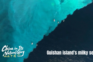 Guishan Island’s Milky Sea: Nature’s Viral Spectacle 🌋💧 video poster