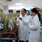 🌾 Chinese Scientists Crack Code for Disease-Proof Rice Without Yield Loss! 🌾 Chinese Scientists Crack Code for Disease-Proof Rice Without Yield Loss!