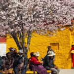 Spring Blooms Paint Potala Palace in Vibrant Hues 🌸🏔️