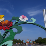 Luoyang Peony Festival Blooms in Full Glory 🌸✨