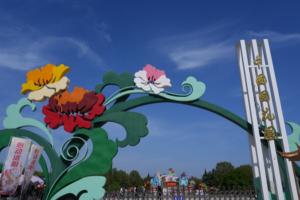 Luoyang Peony Festival Blooms in Full Glory 🌸✨