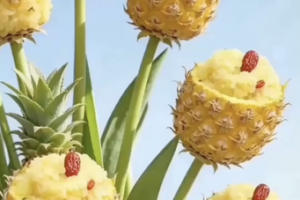 Savor the Flavors: Xishuangbanna’s Tropical Spring Feast 🍍🌺 video poster