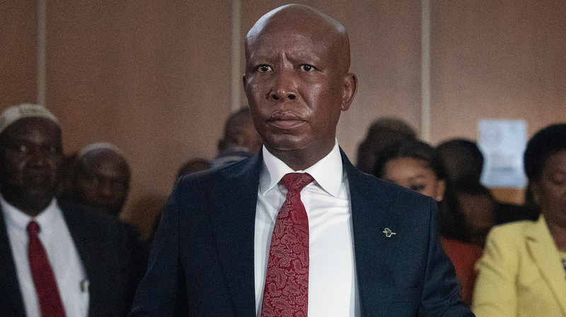South Africa's Julius Malema Gets 5-Year Jail Sentence, Plans Appeal 🚨