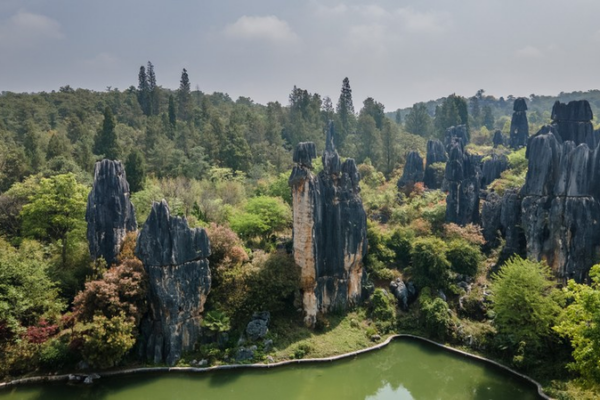 Yunnan's Stone Forest: Where Ancient Rocks Meet Modern Wanderlust 🌄✨