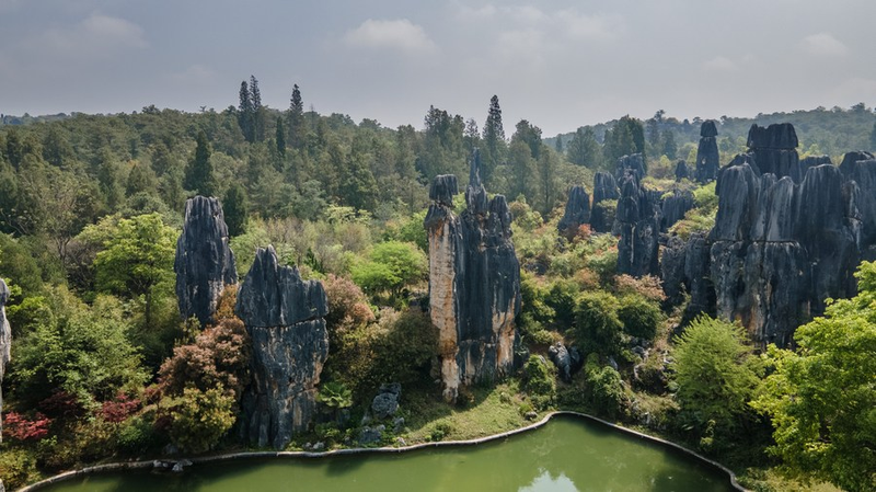 Yunnan's Stone Forest: Where Ancient Rocks Meet Modern Wanderlust 🌄✨