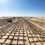 China’s Tech-Driven Green Wall Expands in Taklimakan Desert 🌱🤖 China’s Tech-Driven Green Wall Expands in Taklimakan Desert 🌱🤖 video poster