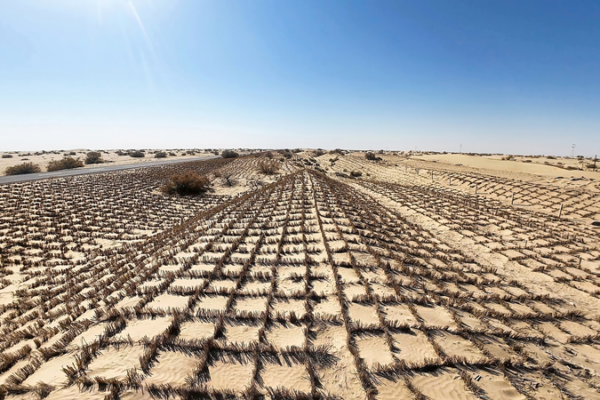 China’s Tech-Driven Green Wall Expands in Taklimakan Desert 🌱🤖 video poster