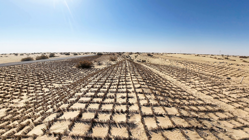 China’s Tech-Driven Green Wall Expands in Taklimakan Desert 🌱🤖 video poster