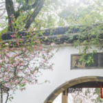 Suzhou's Lingering Garden: A Living Poem of Nature 🌸🏯