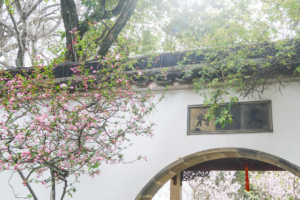 Suzhou's Lingering Garden: A Living Poem of Nature 🌸🏯