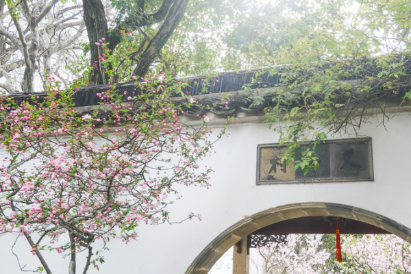 Suzhou's Lingering Garden: A Living Poem of Nature 🌸🏯