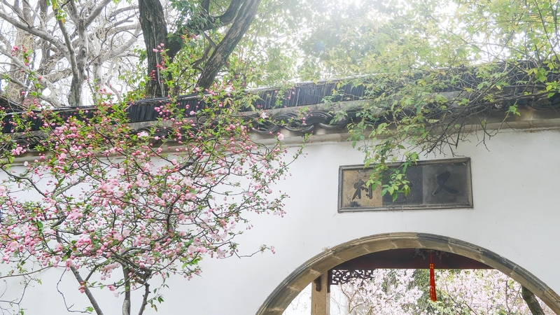 Suzhou's Lingering Garden: A Living Poem of Nature 🌸🏯