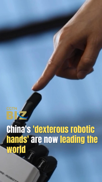 The Future is in the Palms: China's Robotic Hands are Changing the Game 🦾✨ video poster