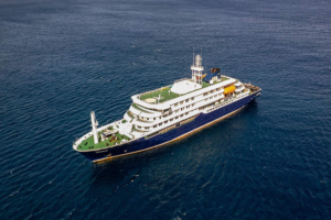 Cruise Ship Crisis: Hantavirus Outbreak in Atlantic Leaves 3 Dead 🚢⚠️