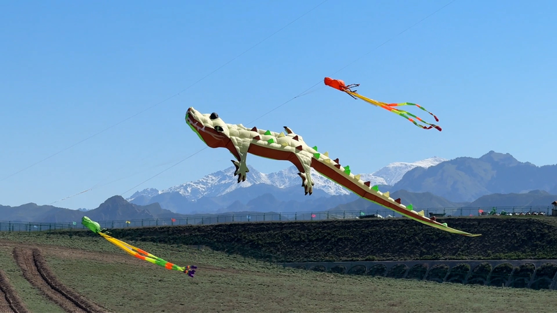 Sky-High Vibes! 🪁 Urumqi's May Day Kite Fest Dazzles 10k Visitors! video poster