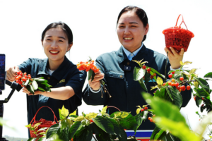 Beyond_the_Poverty_Line__How_China_s_Real_Transformation_is_Unfolding