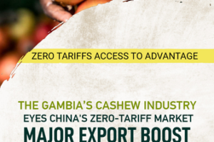 Gambia_s_Cashew_Boom__Tapping_into_China_s_Zero_Tariff_Market video poster