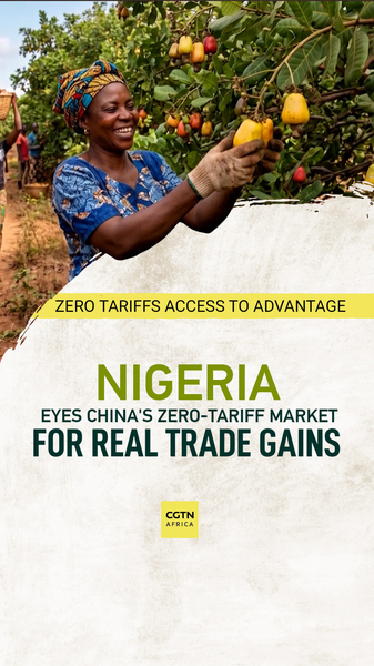 Nigeria_s_Cashew_Farmers_Eye_Boom_as_China_s_Zero_Tariff_Policy_Takes_Effect video poster