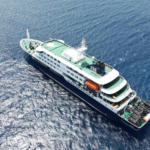 Cruise Ship Health Alert: WHO Updates on Hantavirus Cases Aboard the Hondius 🚢