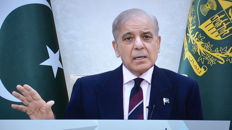 Man in a dark suit and striped tie speaks at a podium, with a green flag (Pakistan) and a government seal behind him, gesturing with his left hand.