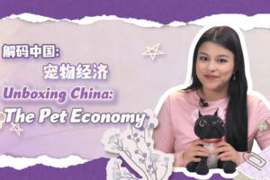China's $700-a-Month Pet Parents Fuel Booming 'Emotional Economy' 🐶💰 video poster